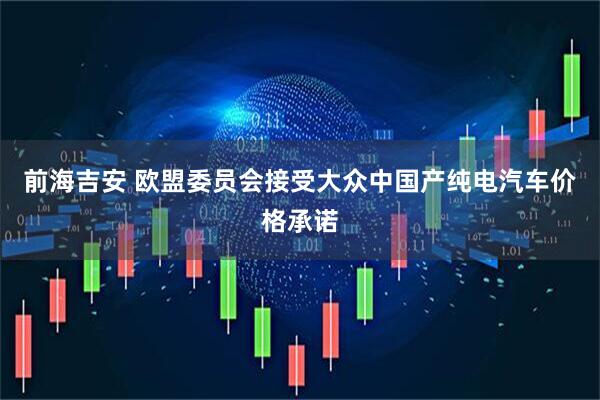 前海吉安 欧盟委员会接受大众中国产纯电汽车价格承诺