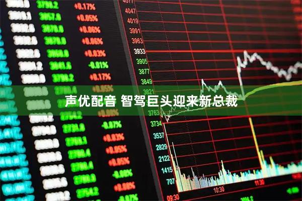 声优配音 智驾巨头迎来新总裁