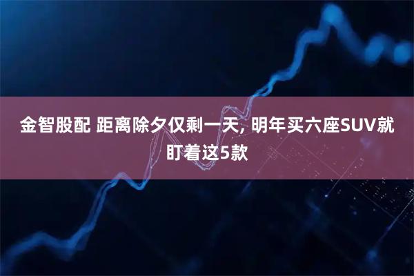 金智股配 距离除夕仅剩一天, 明年买六座SUV就盯着这5款