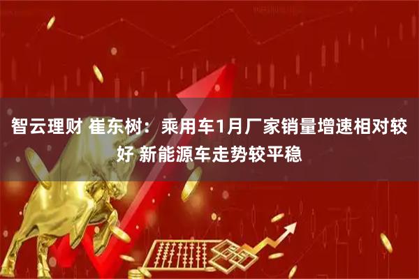 智云理财 崔东树：乘用车1月厂家销量增速相对较好 新能源车走势较平稳