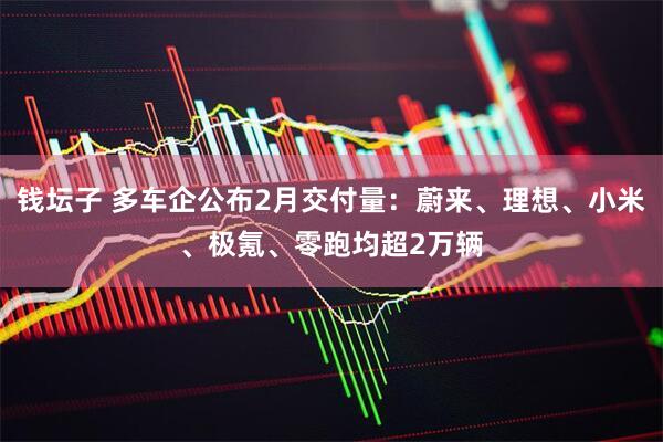 钱坛子 多车企公布2月交付量：蔚来、理想、小米、极氪、零跑均超2万辆